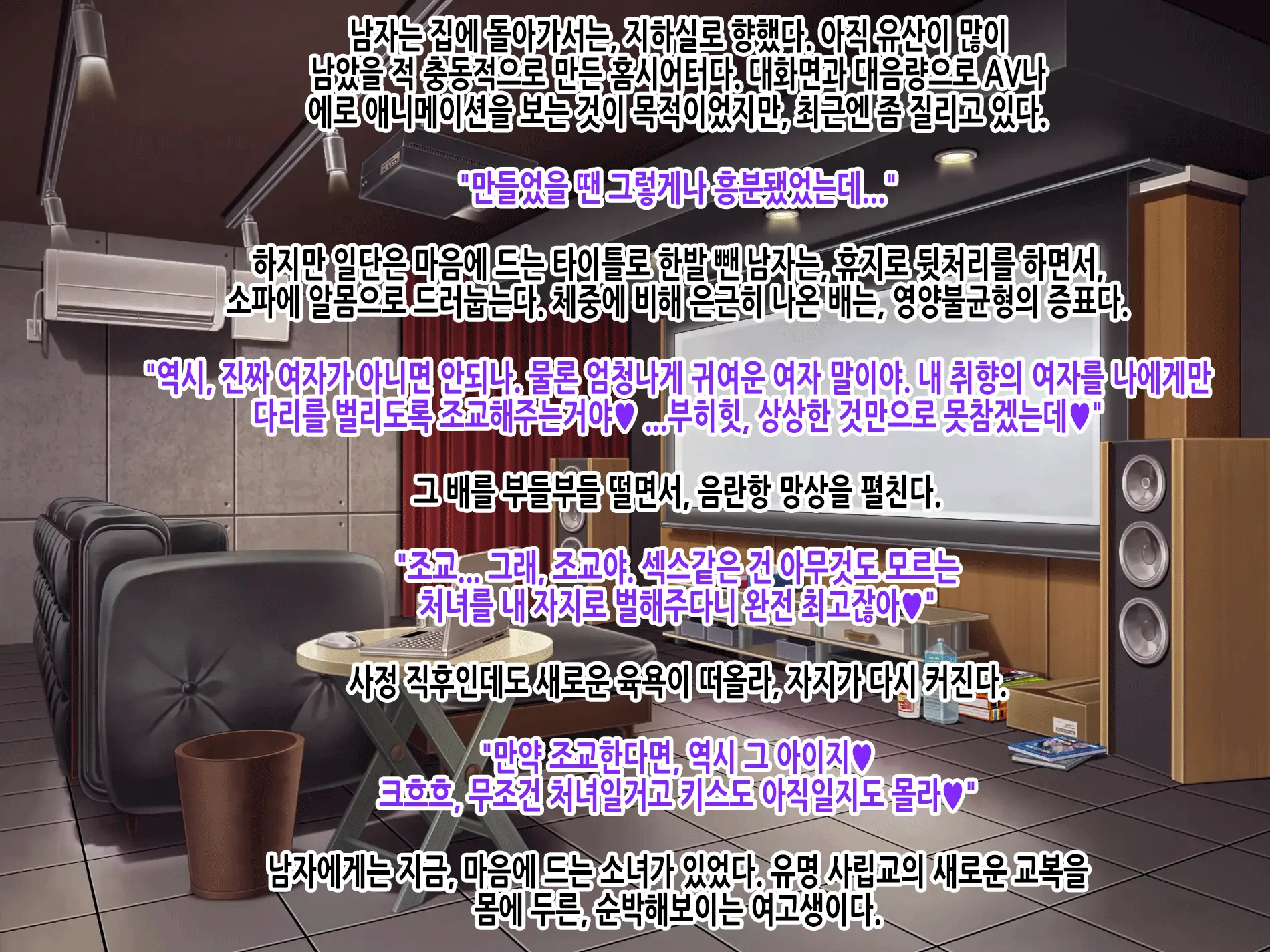 Yuukai JK Sakurai Hina Kankin Choukyou Chiiku Kiroku ～Boku No Tenshi To Chika Seikatsu～ | 유괴 JK 사쿠라이 히나 감금조교치육기록 ~나의 천사와 지하생활~